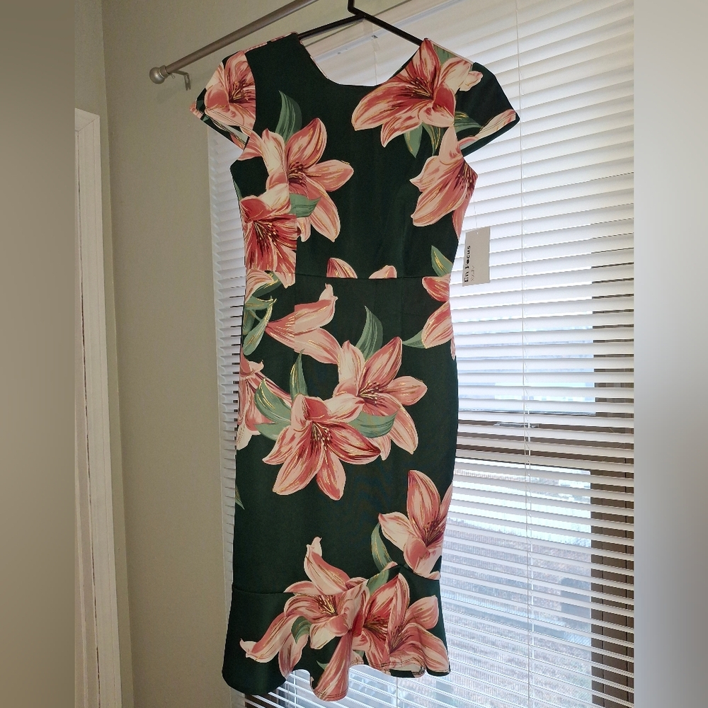 NWT-En Focus Sz 4 Green Dress With Pink Flowers & Gold Accents-BEAUTIFUL!